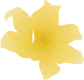 Gold flower